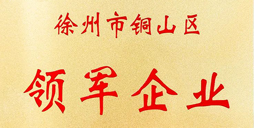 淮海車輛獲徐州市銅山區(qū)年度“領(lǐng)軍企業(yè)”表彰！